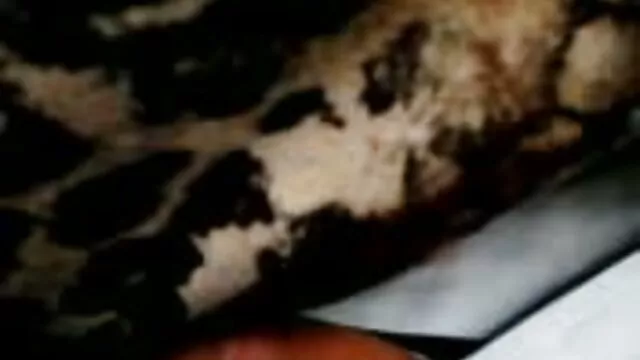 Stacey juega con porno español latino gratis su consolador