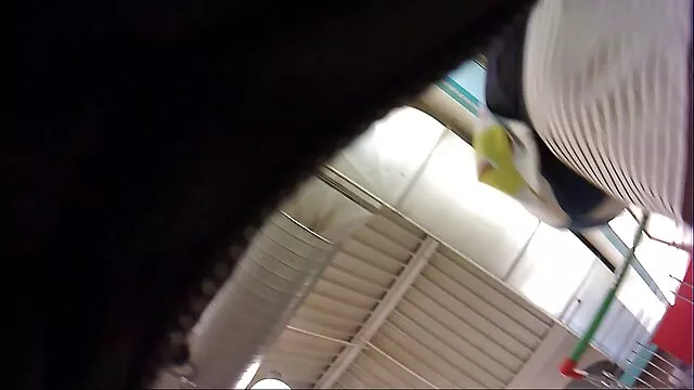 Concurso de camisetas en español latino xxx mojadas de las vacaciones de primavera